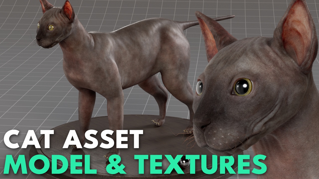 Cat Asset - Model & Textures | Fab