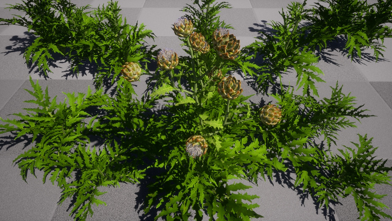 Multimedia 1 dla listy plant 9 Crops