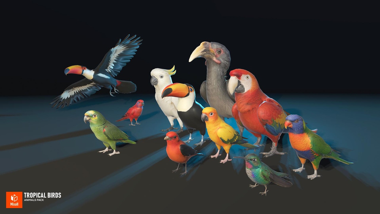 Media 1 for listing Tropical birds - animals pack