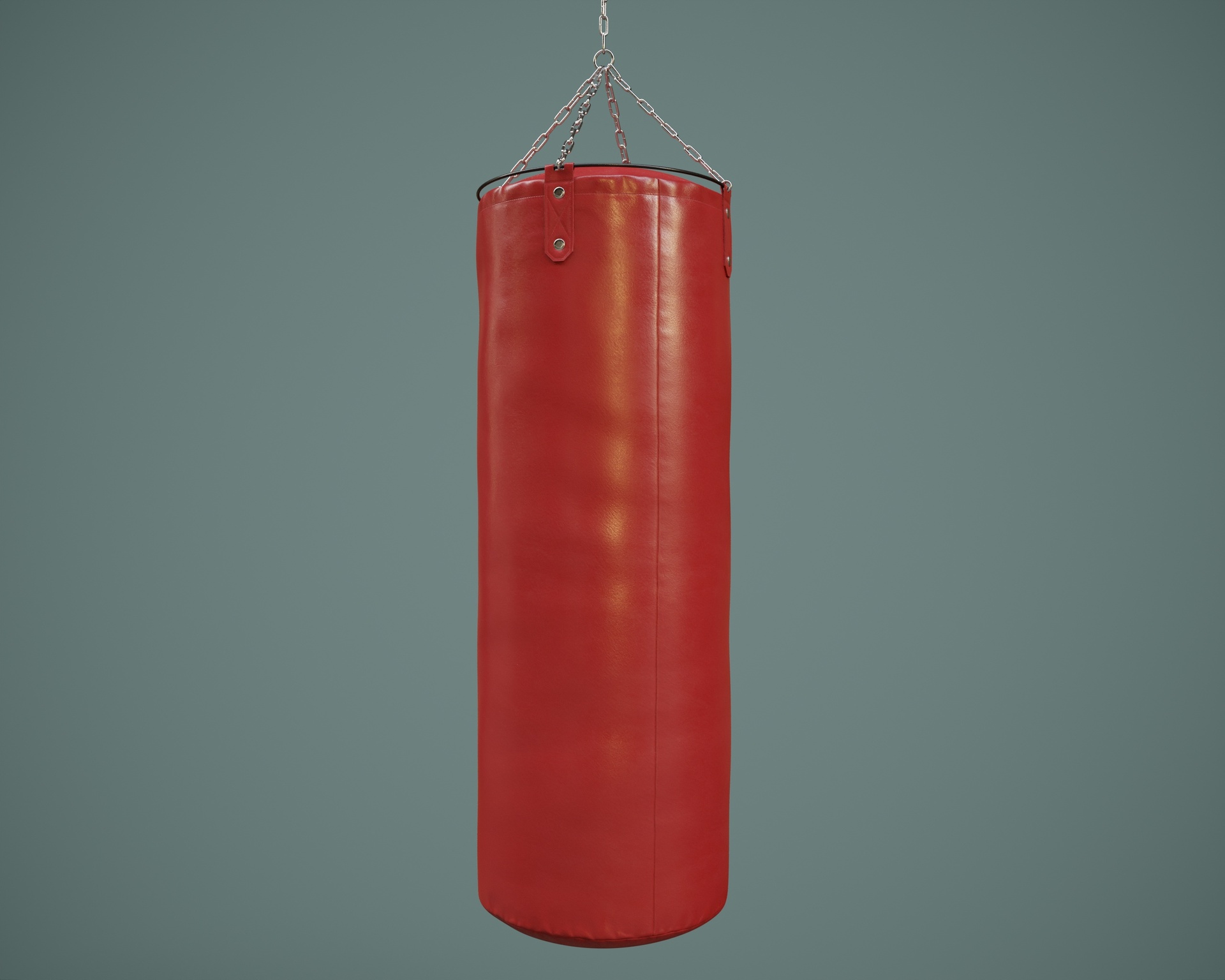 Media 1 for listing Heavy Punching Bag PBR