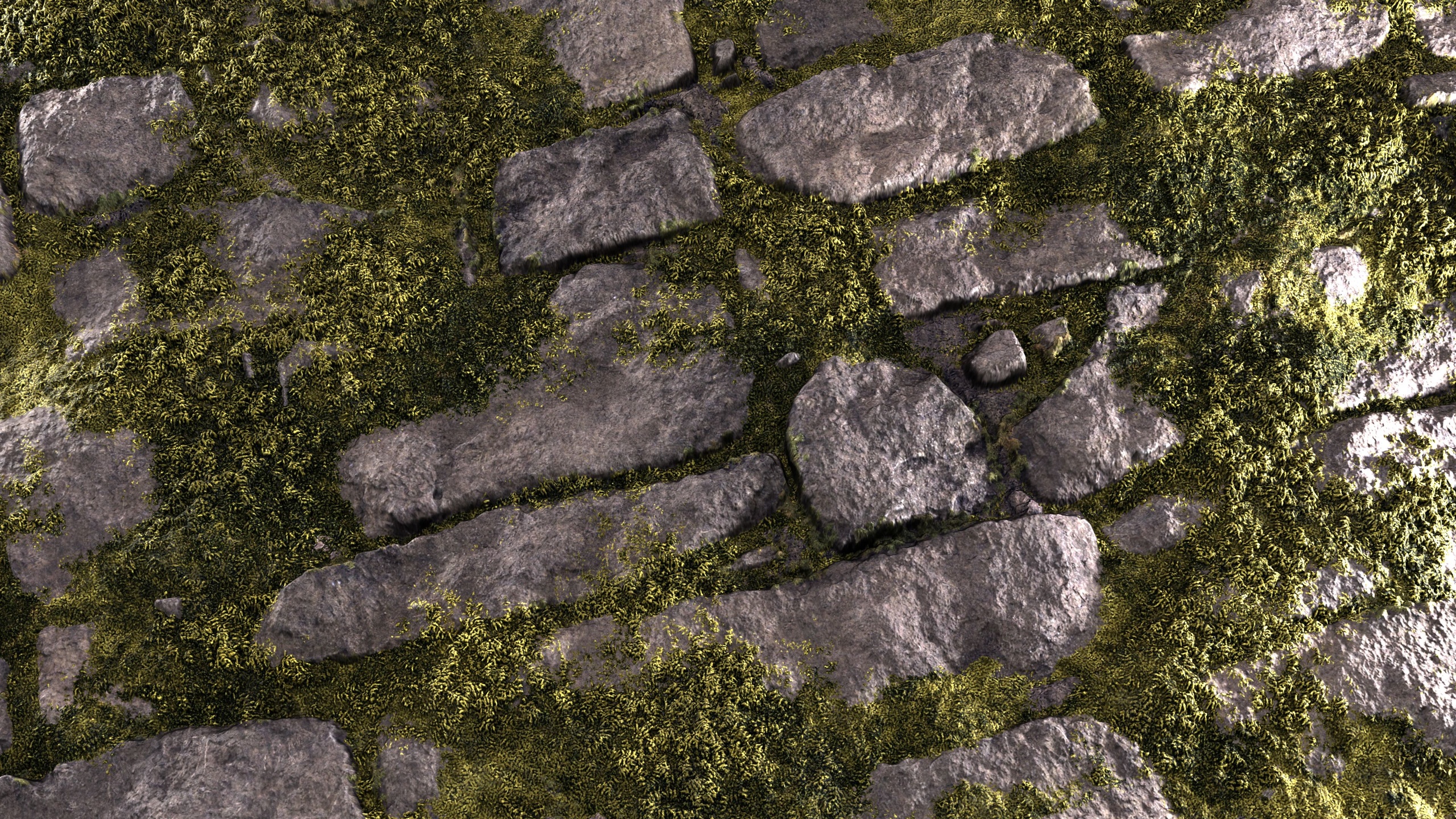 Media 1 for listing Mossy Rock 8K PBR Texture