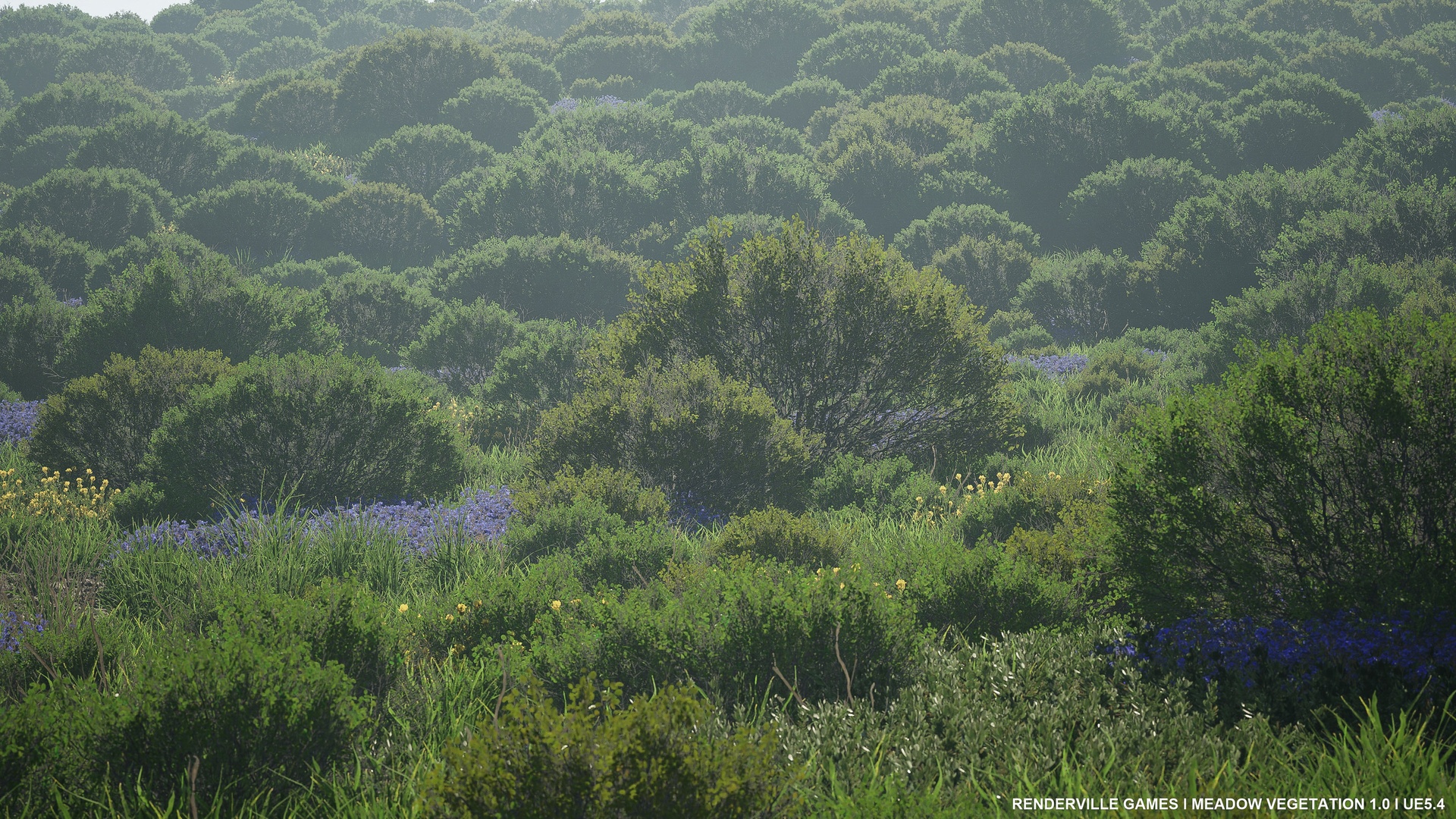 Media 1 for listing Meadow Vegetation