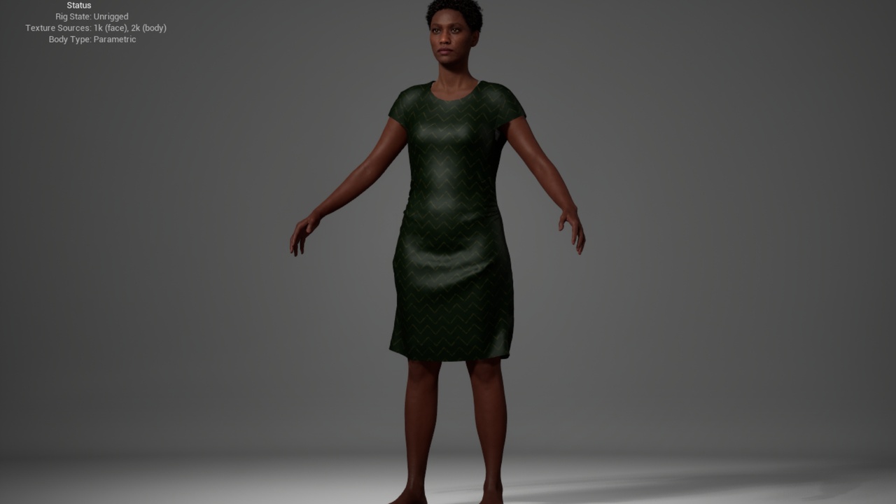 Media 1 for listing Straight Dress