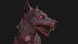 Asset image