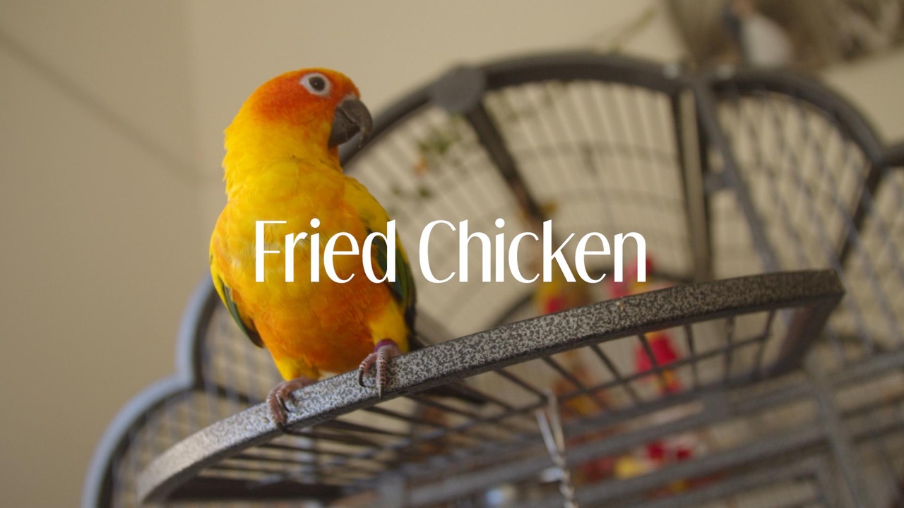 商品 Fried Chicken / Soundtrak 的媒体 1