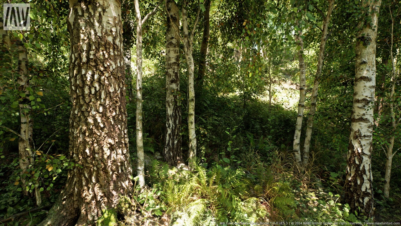 Média 1 pour l'article MW Birch Forest Trees Biome