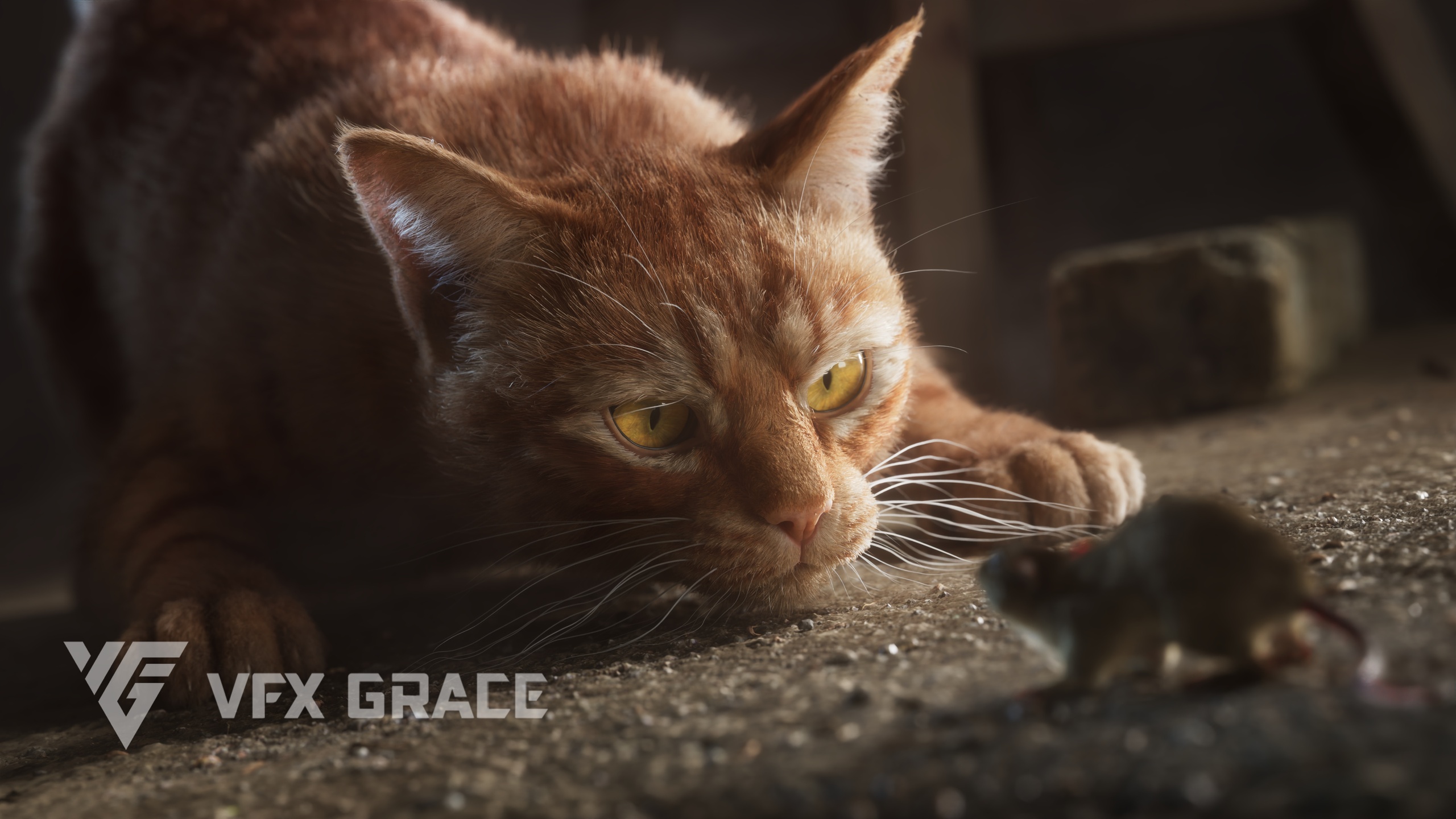 Media 1 for listing Orange Cat Animation