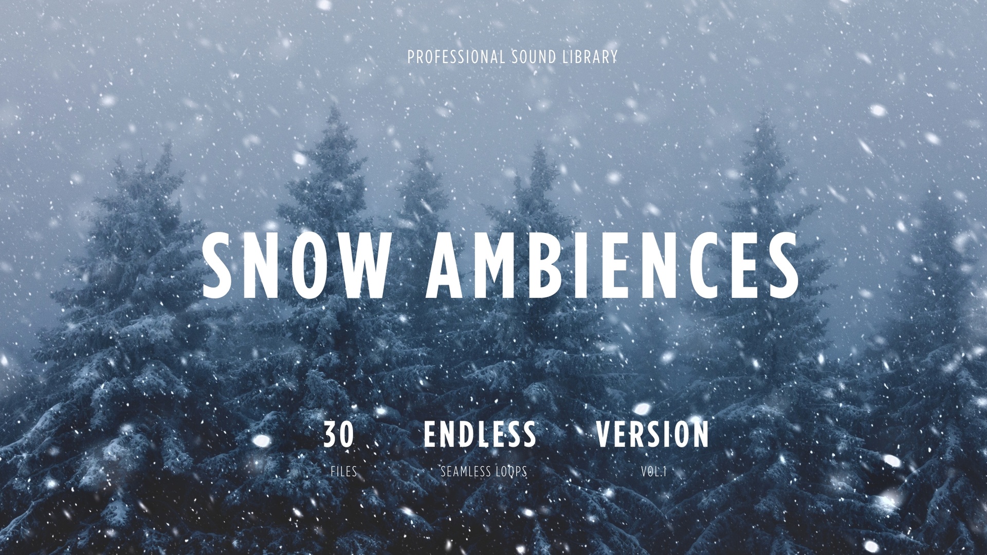 Media 1 for listing Snow Ambiences - vol.1