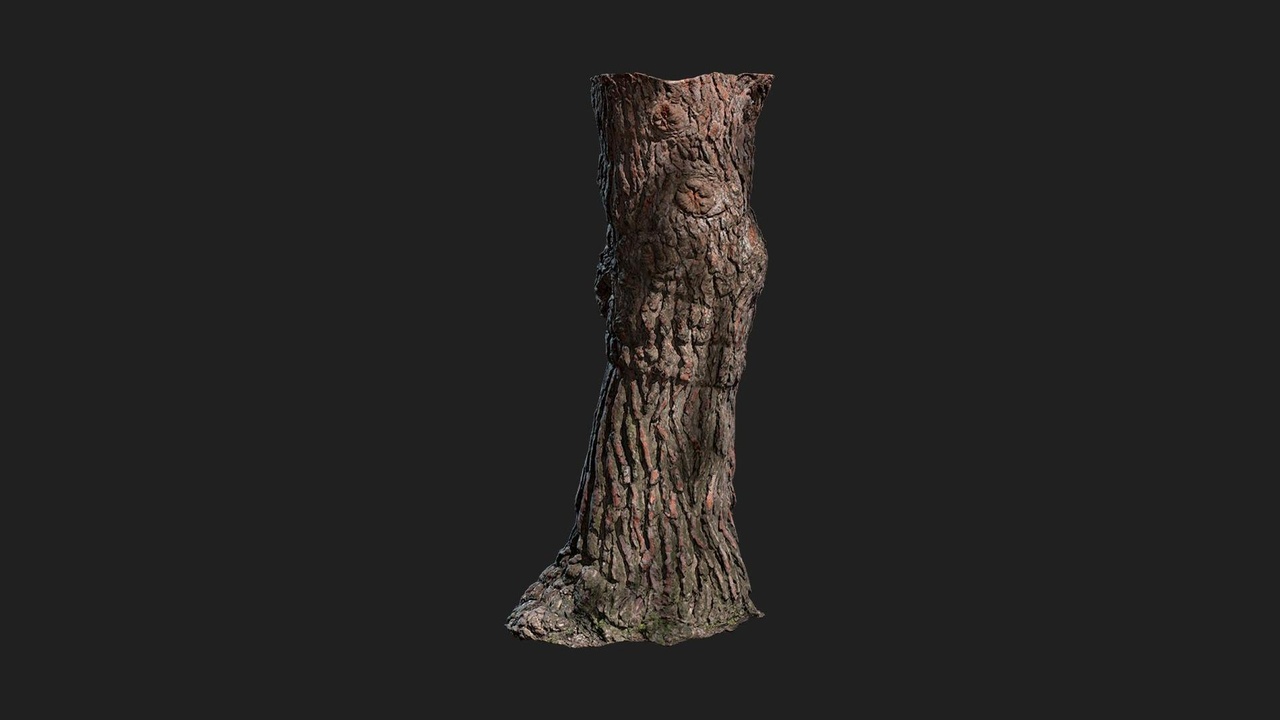 Tree Stump | Fab