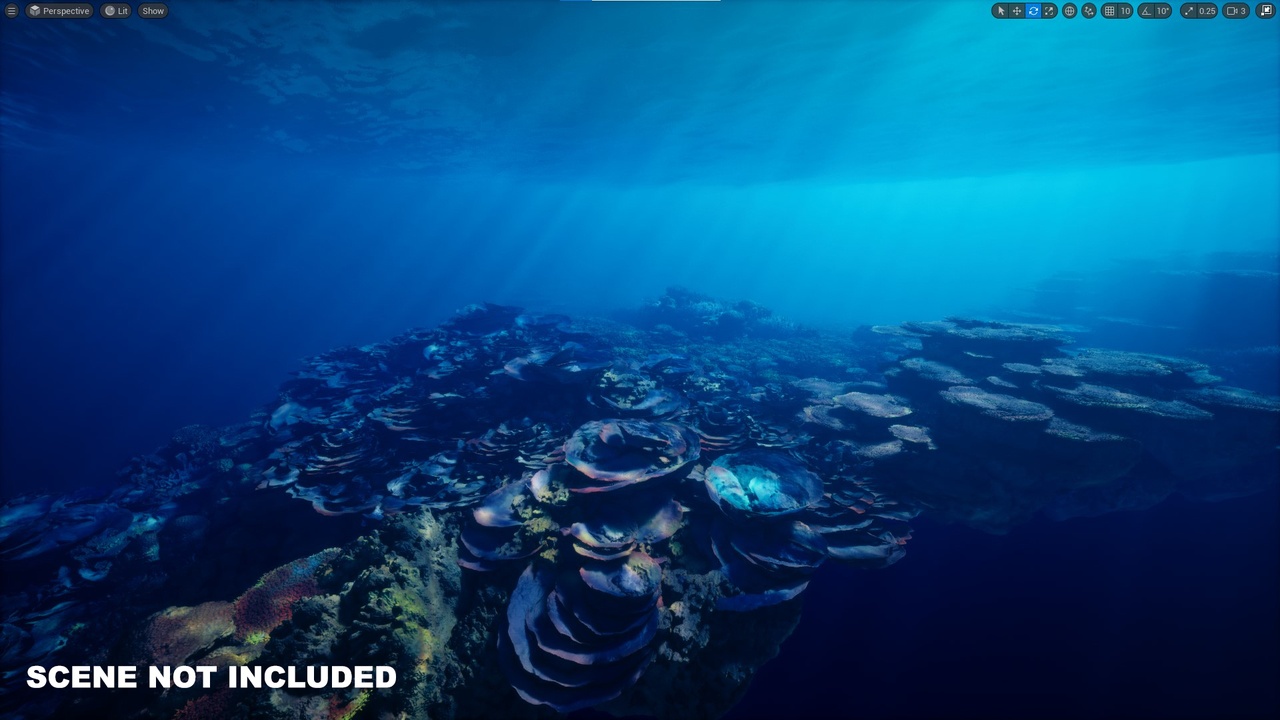 Media 1 for listing Coral