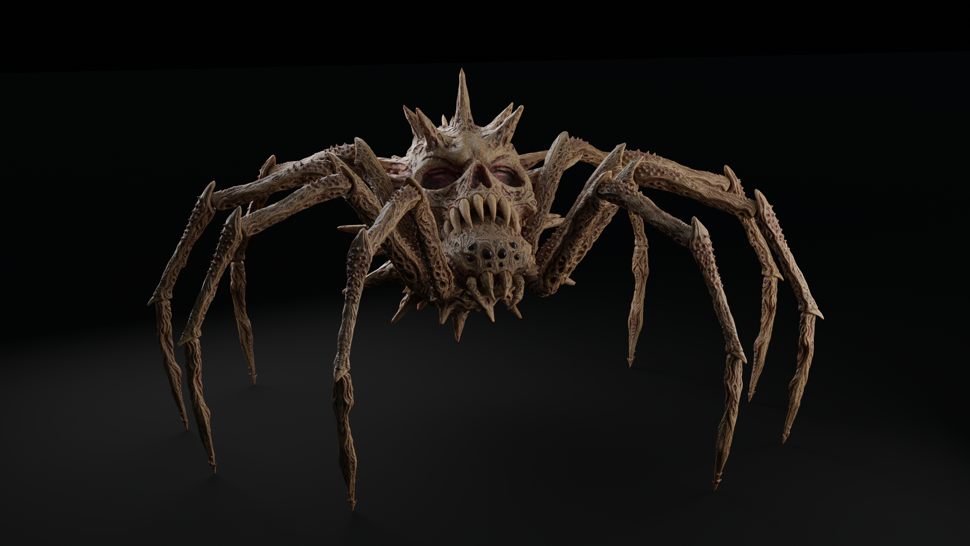 Spider | Fab