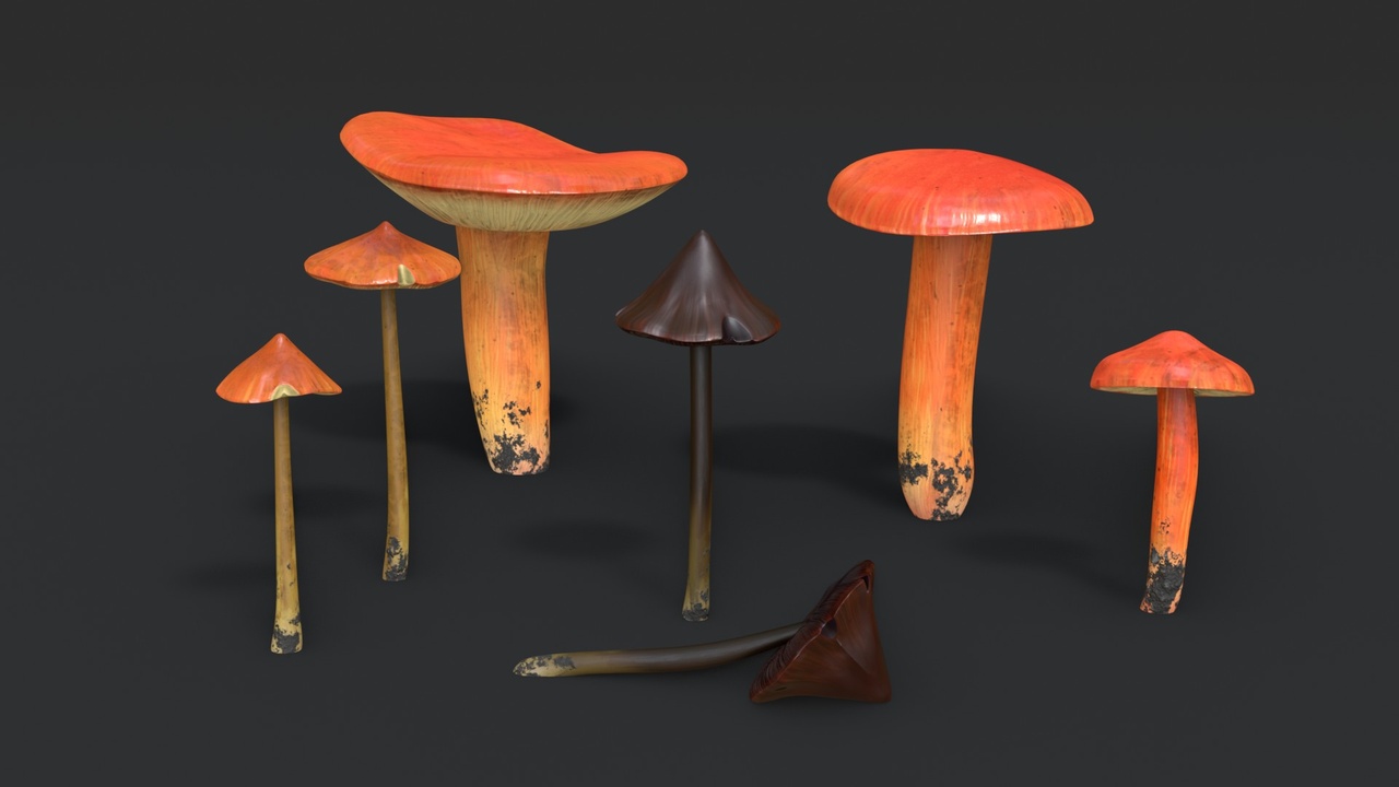 Media 1 for listing Crimson Waxcap and Witch Hat Mushrooms Set