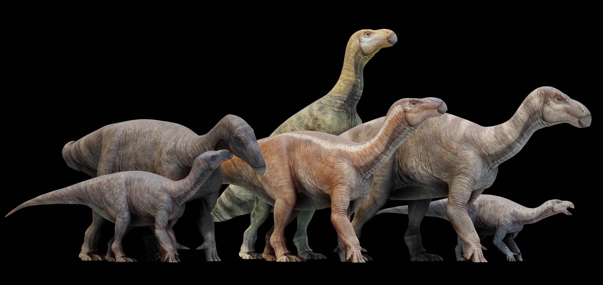 Media 1 for listing Iguanodon Asset pack