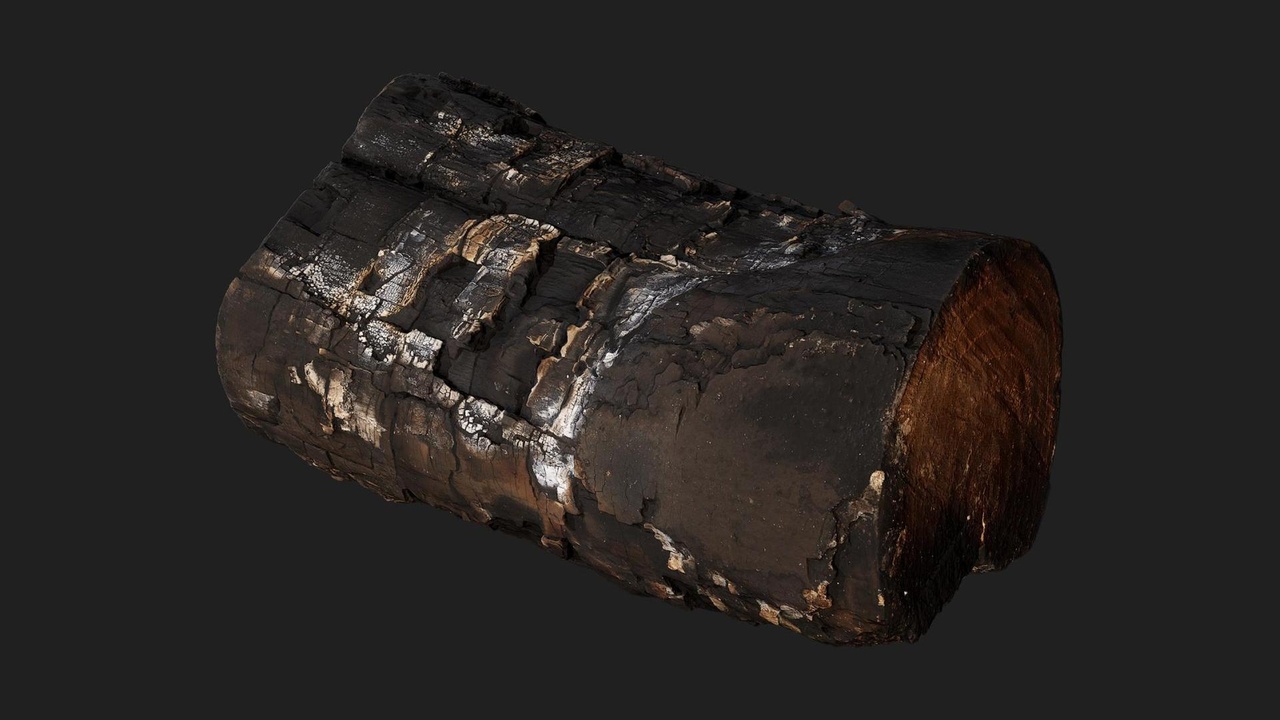 Media 1 for listing Burnt Firewood