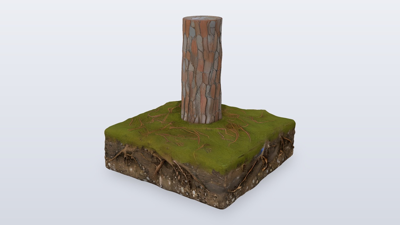 Media 1 for listing Pine Tree Trunk With Soil Cross Section