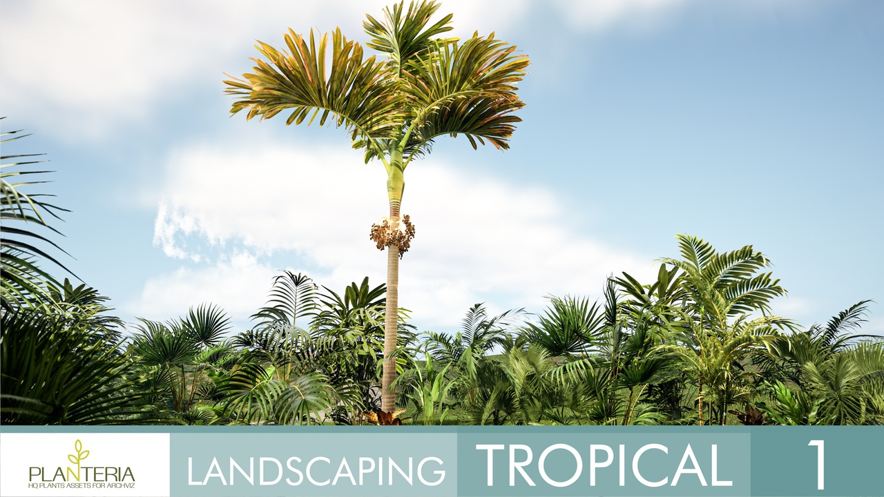 商品 Landscaping Tropical 1 的媒体 1