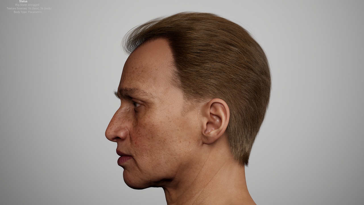 Media 1 for listing Classic Mature Brushed Back – MetaHuman Groom