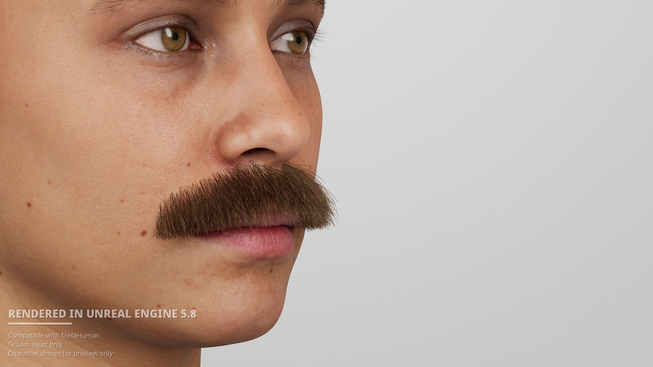 Media 1 for listing Painter’s Brush Mustache - MetaHuman Groom