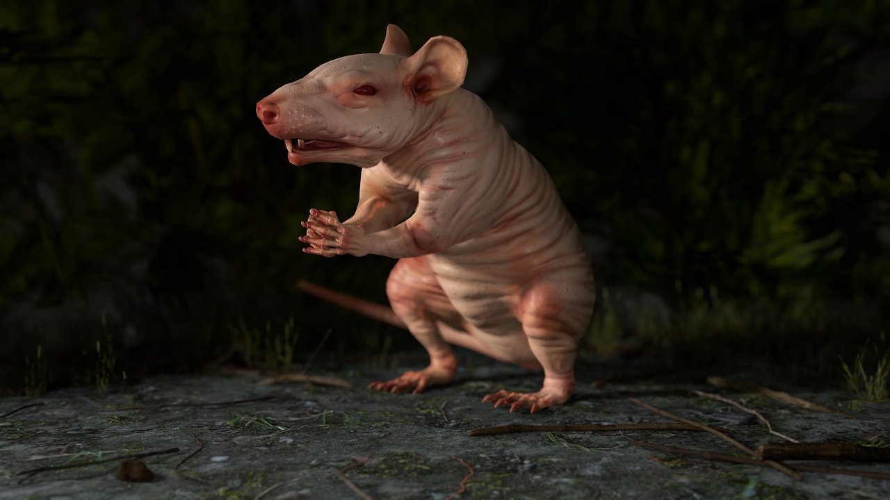 Media 1 for listing Naked Rat