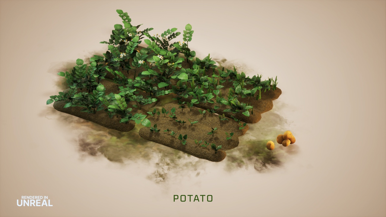 الوسائط 1 للقائمة Wild Harvest: Root Vegetables