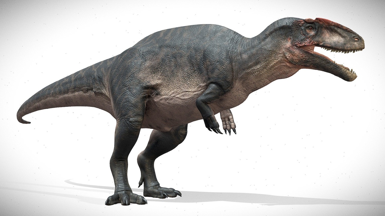 Media 1 for listing Carcharodontosaurus Rig