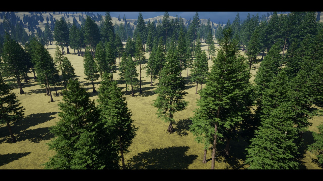 Media 1 for listing Taxodium Distichum (Bald Cypress) Tree Pack