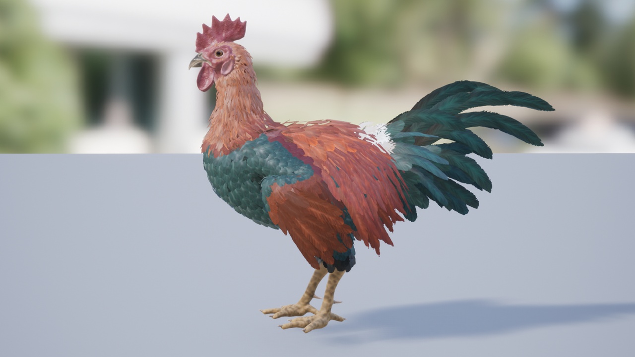Media 1 for listing Feathered Rooster