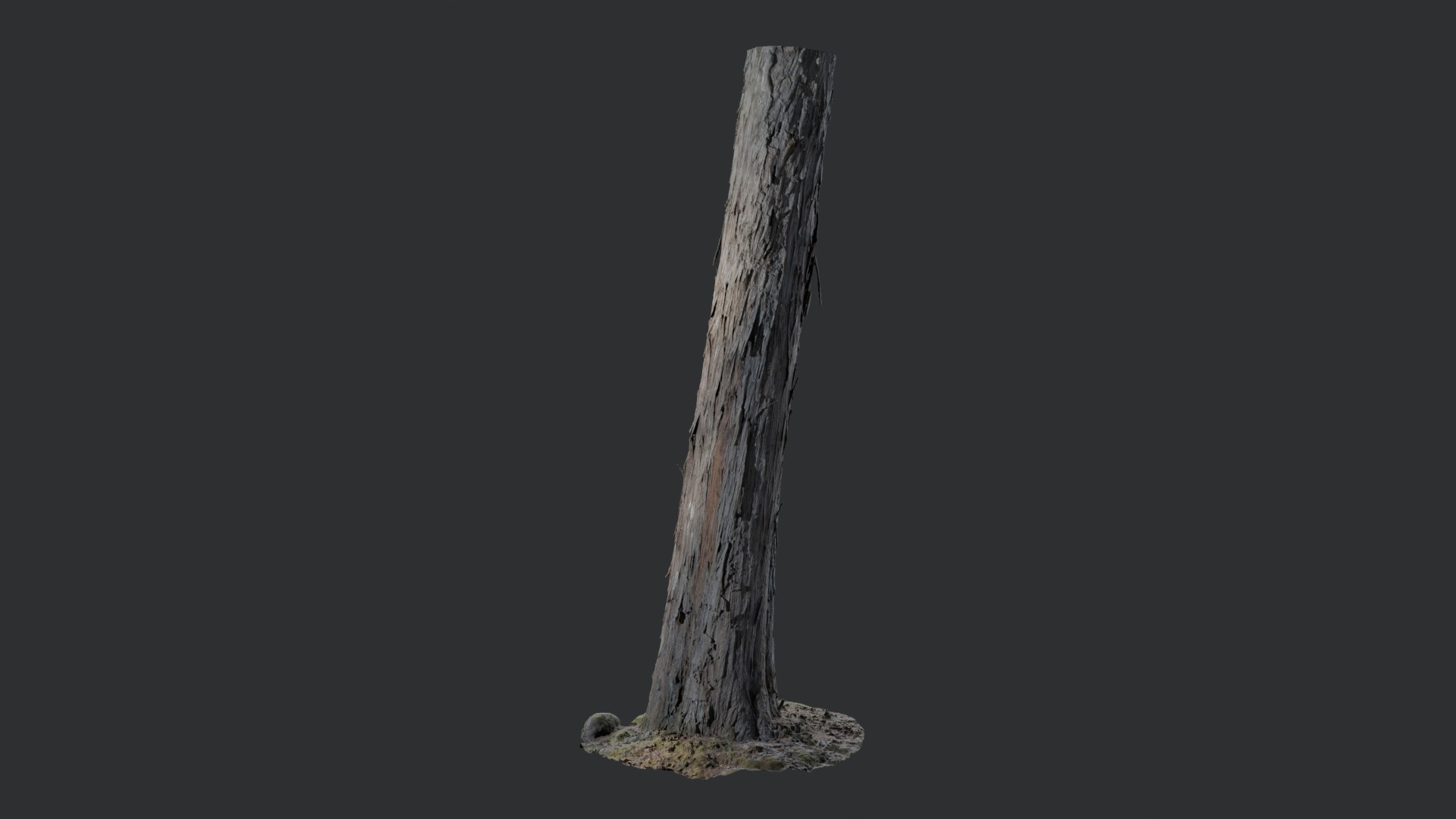 Forest Tree Trunk 2 | Fab