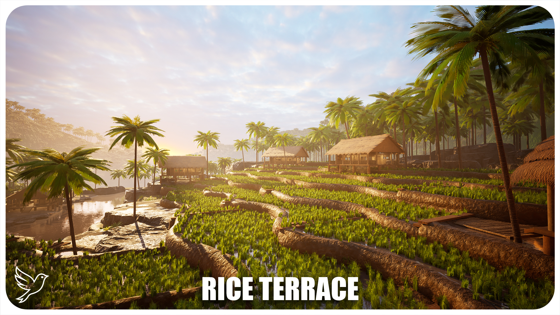 Angami Terrace Rice Asian Rice Terrace | Fab