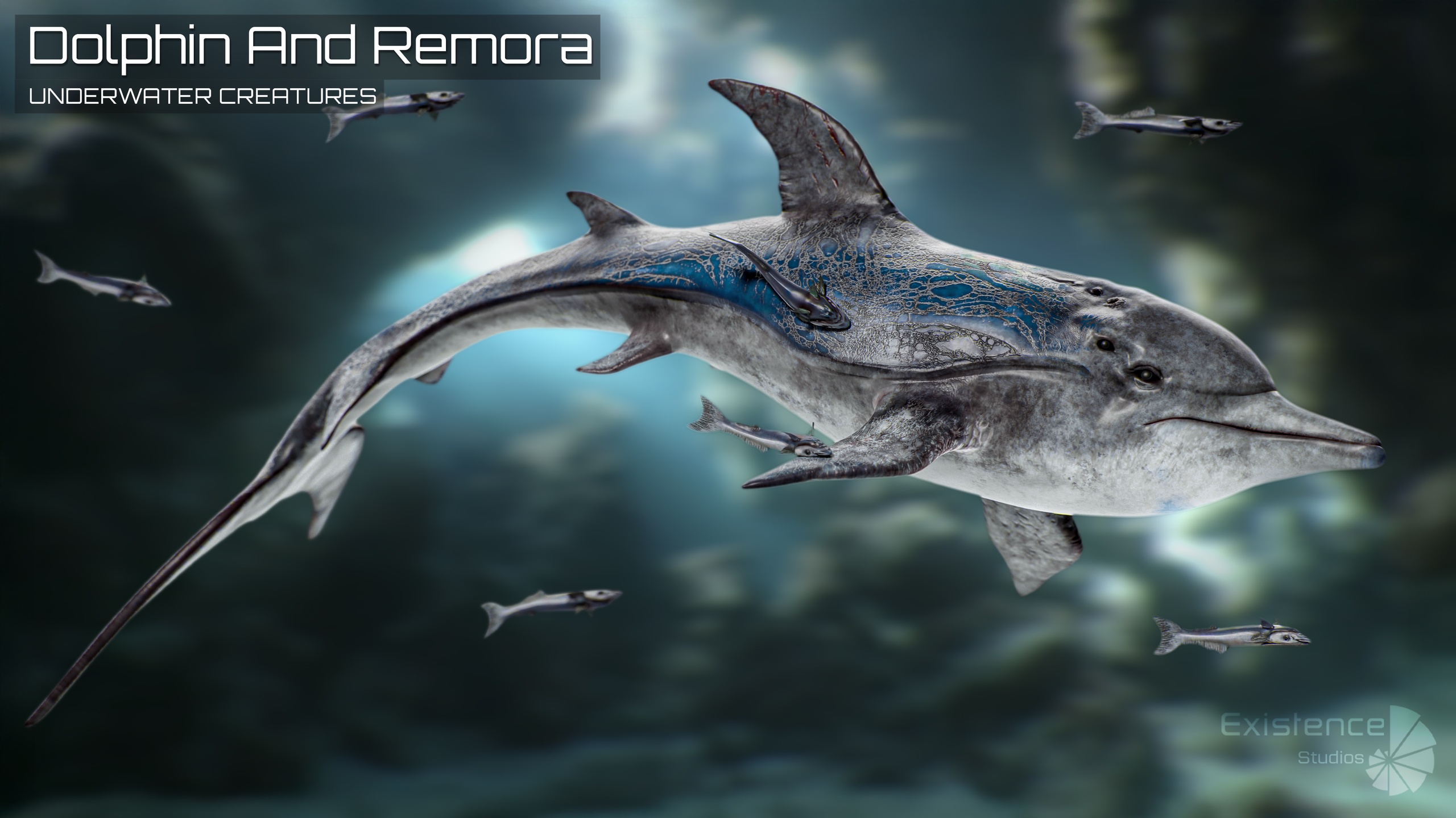 Media 1 for listing Dolphin and Remora - Realistic 3D Model - Animated Marine Monster - #62