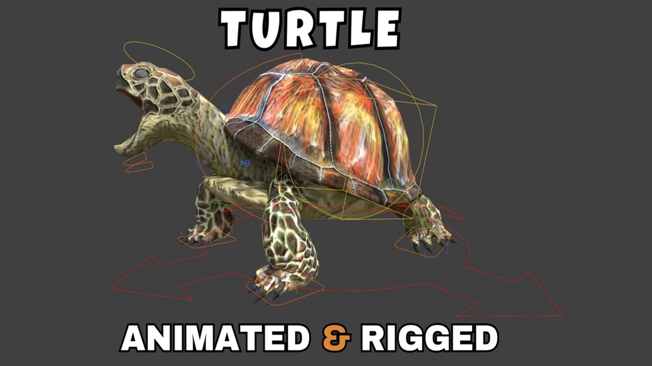Media 1 for listing Turtle Rigged And Animated 3D Model