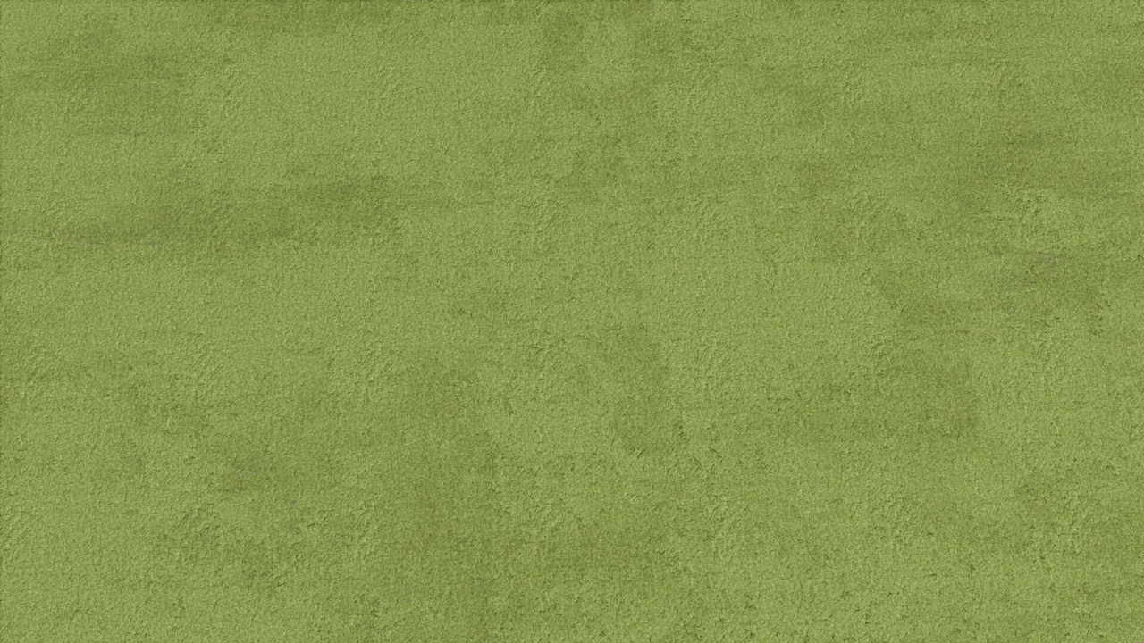 Media 1 for listing Green Carpet PBR Texture
