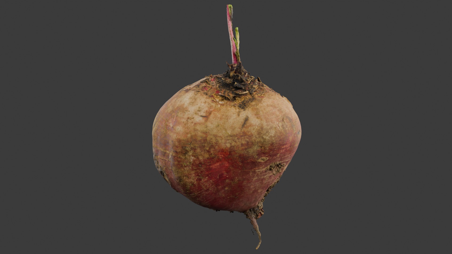 Beetroot | Fab