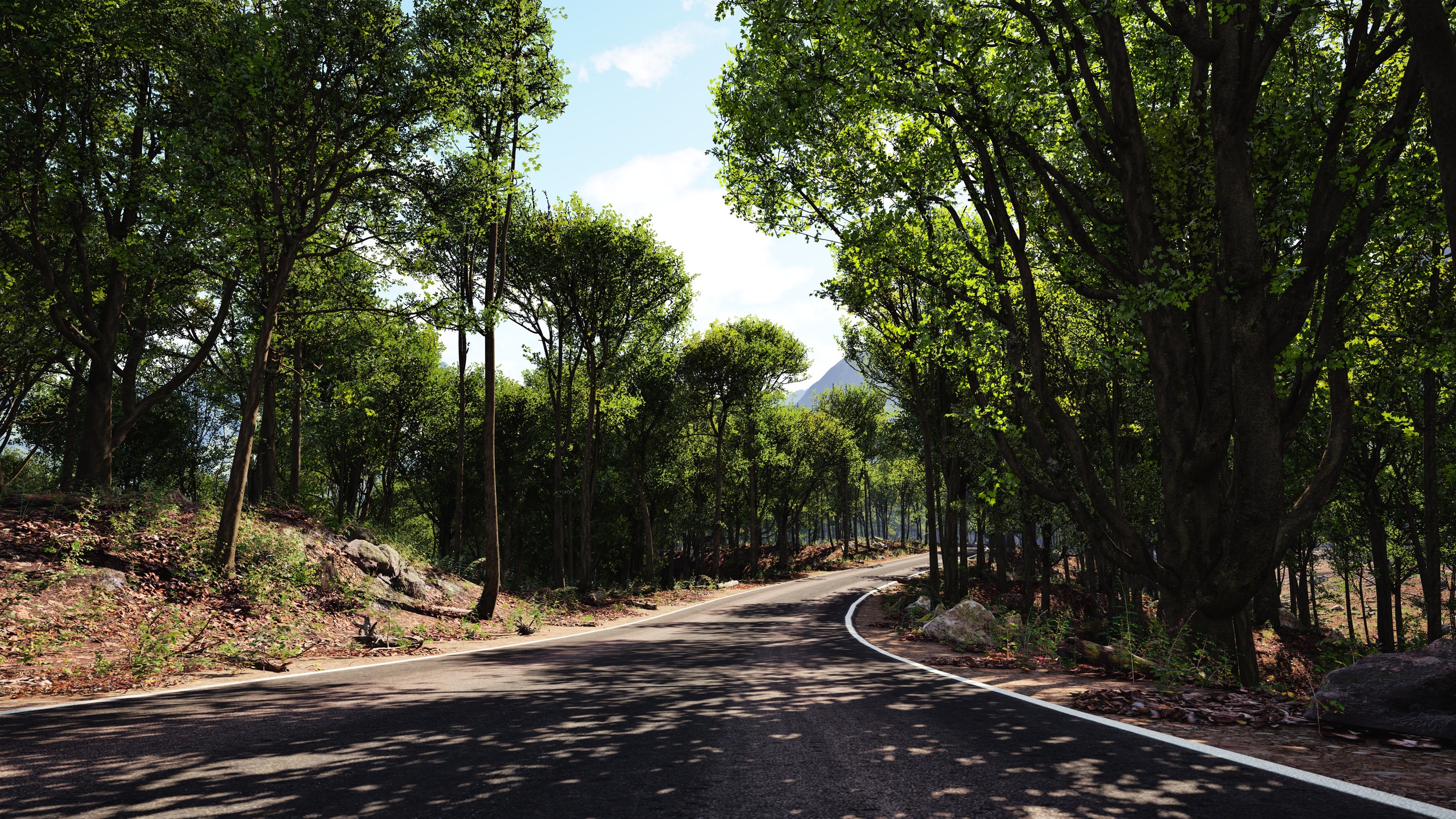 Media 1 for listing PVE Procedural Vegetation: Acer pseudoplatanus - Sycamore Maple Tree Presets
