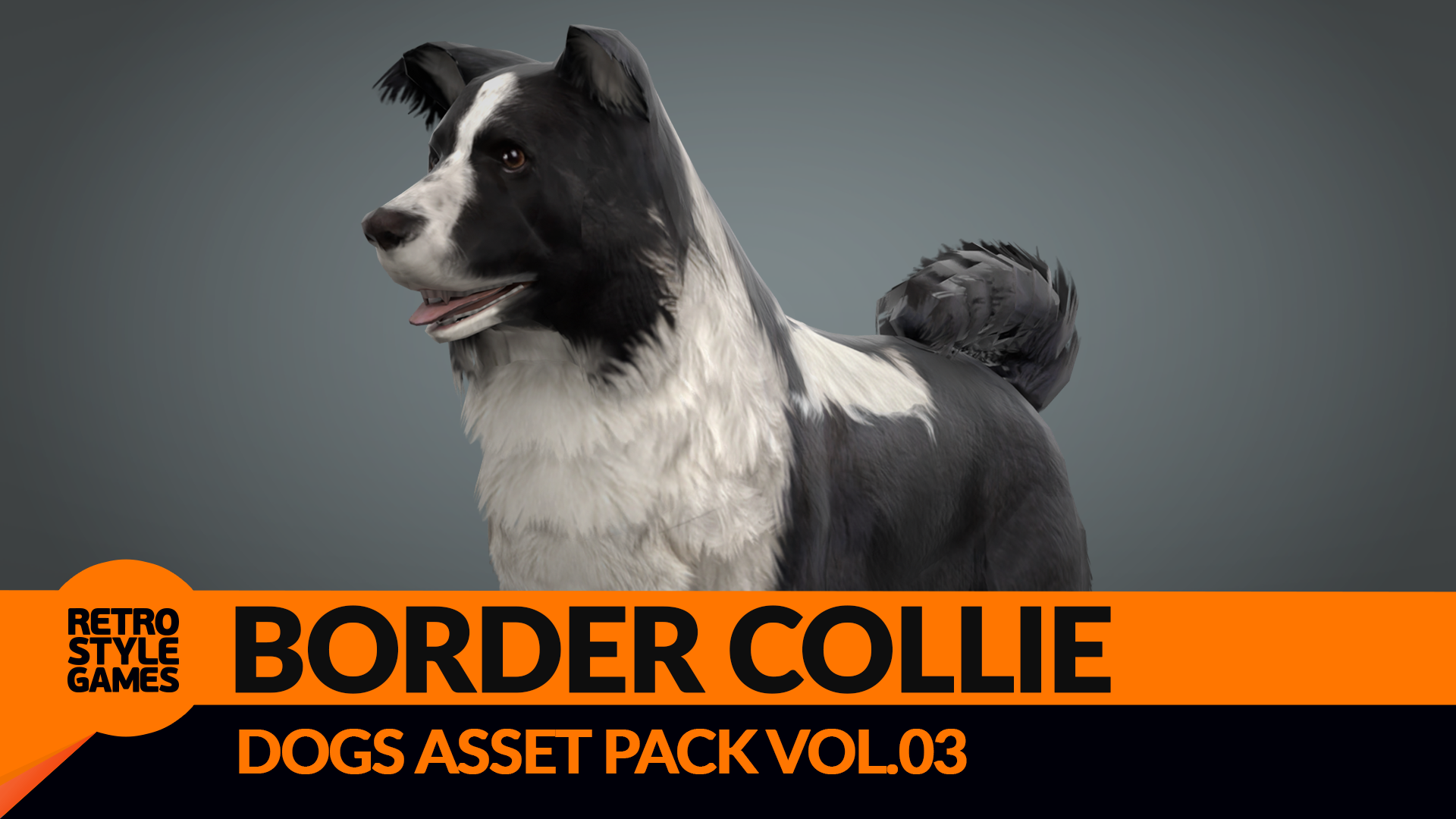 Border Collie 3D Dog Model | Fab