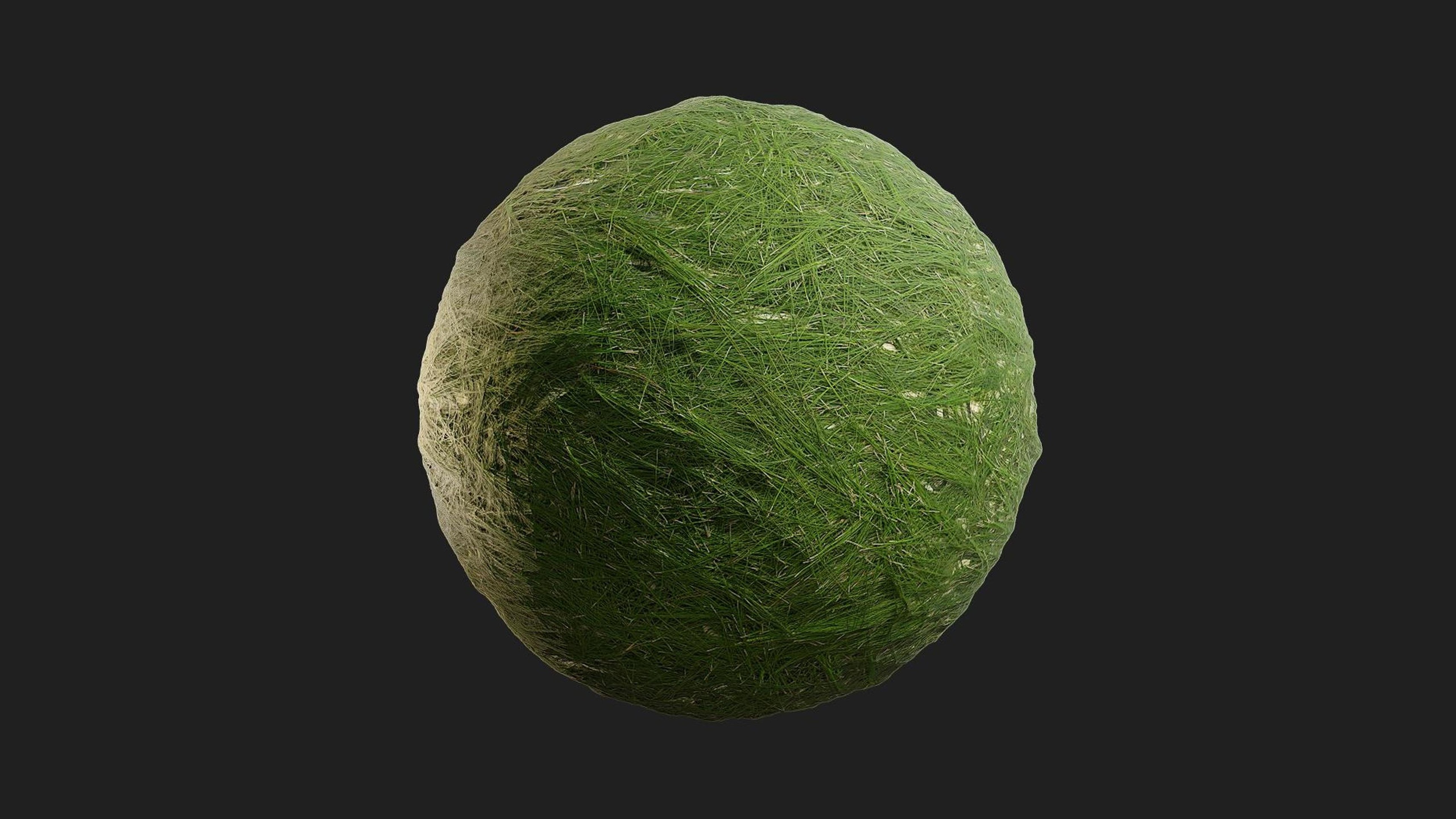 Media 1 for listing Pine Foliage