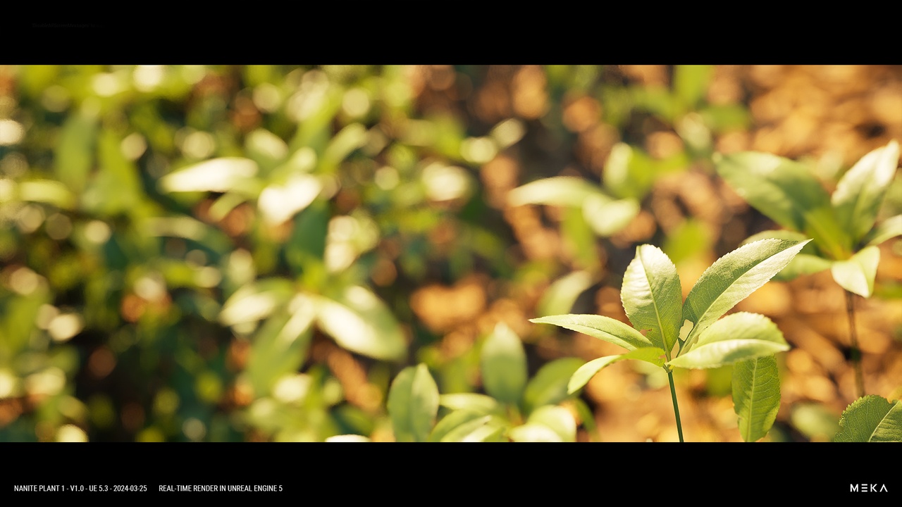 Nanite Plant Vol.1 제품 등록을 위한 미디어 1개