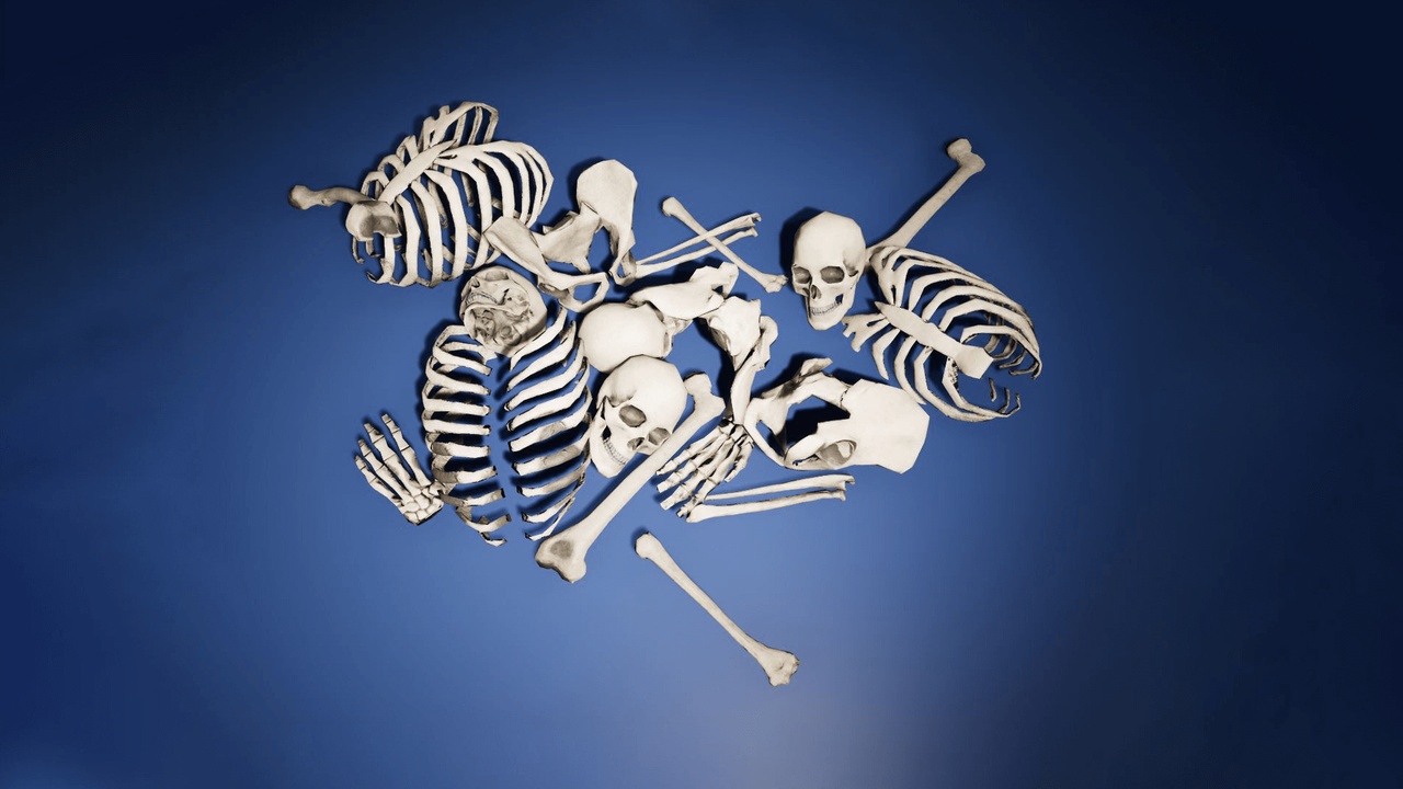Media 1 for listing Skulls and Bones