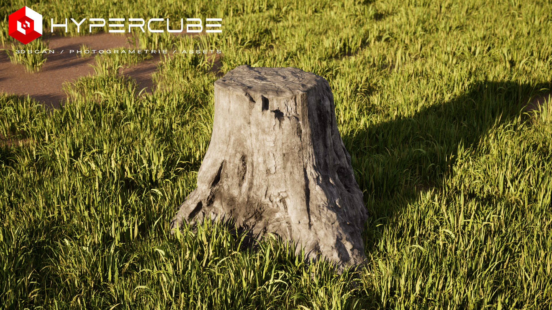 Hypercube Tree stump | Fab