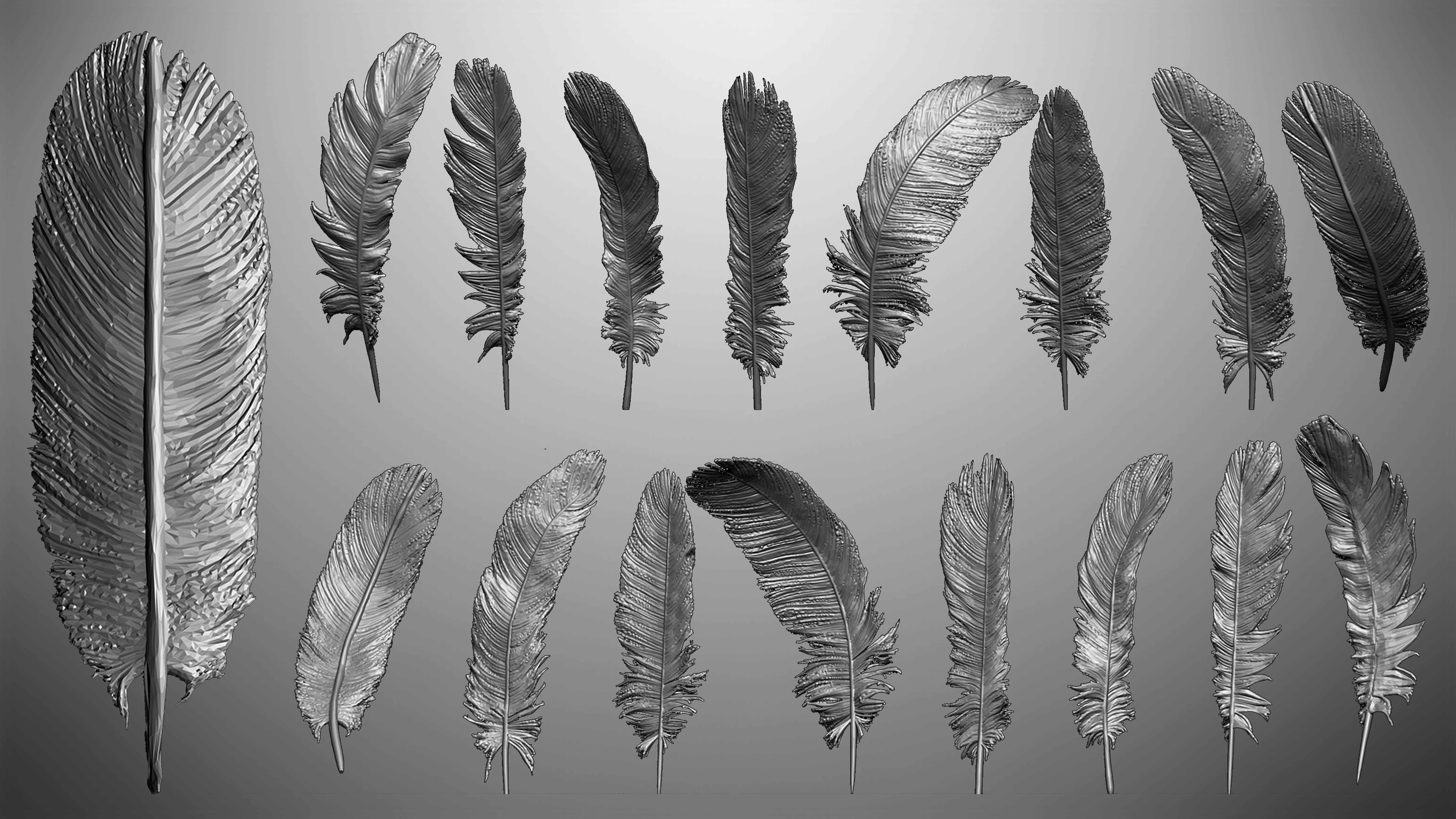 Media 1 for listing IMM Feathers Brushes for ZBrush
