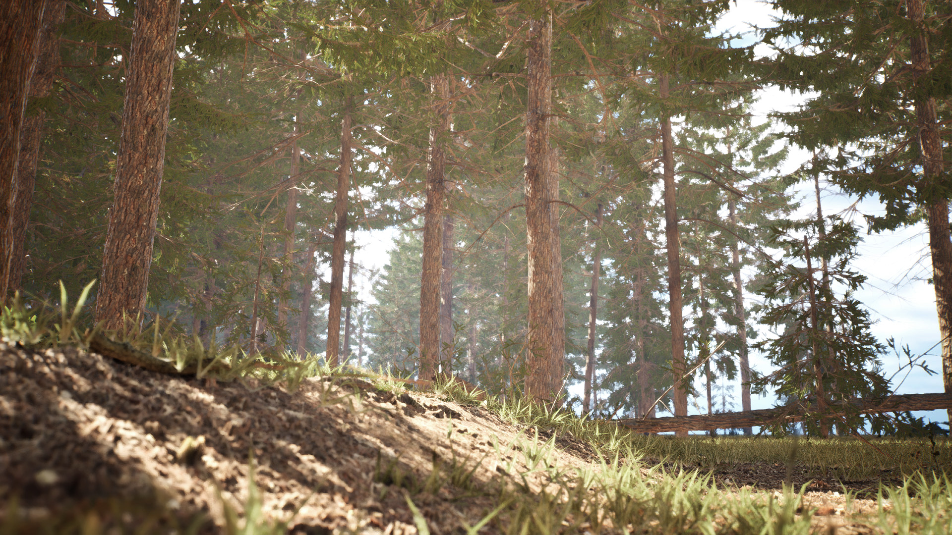 Realistic Forest 02 - Spruce Forest | Fab