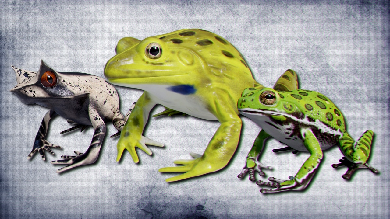Media 1 for listing Animated Frogs Volume 4