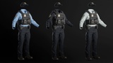 Asset image