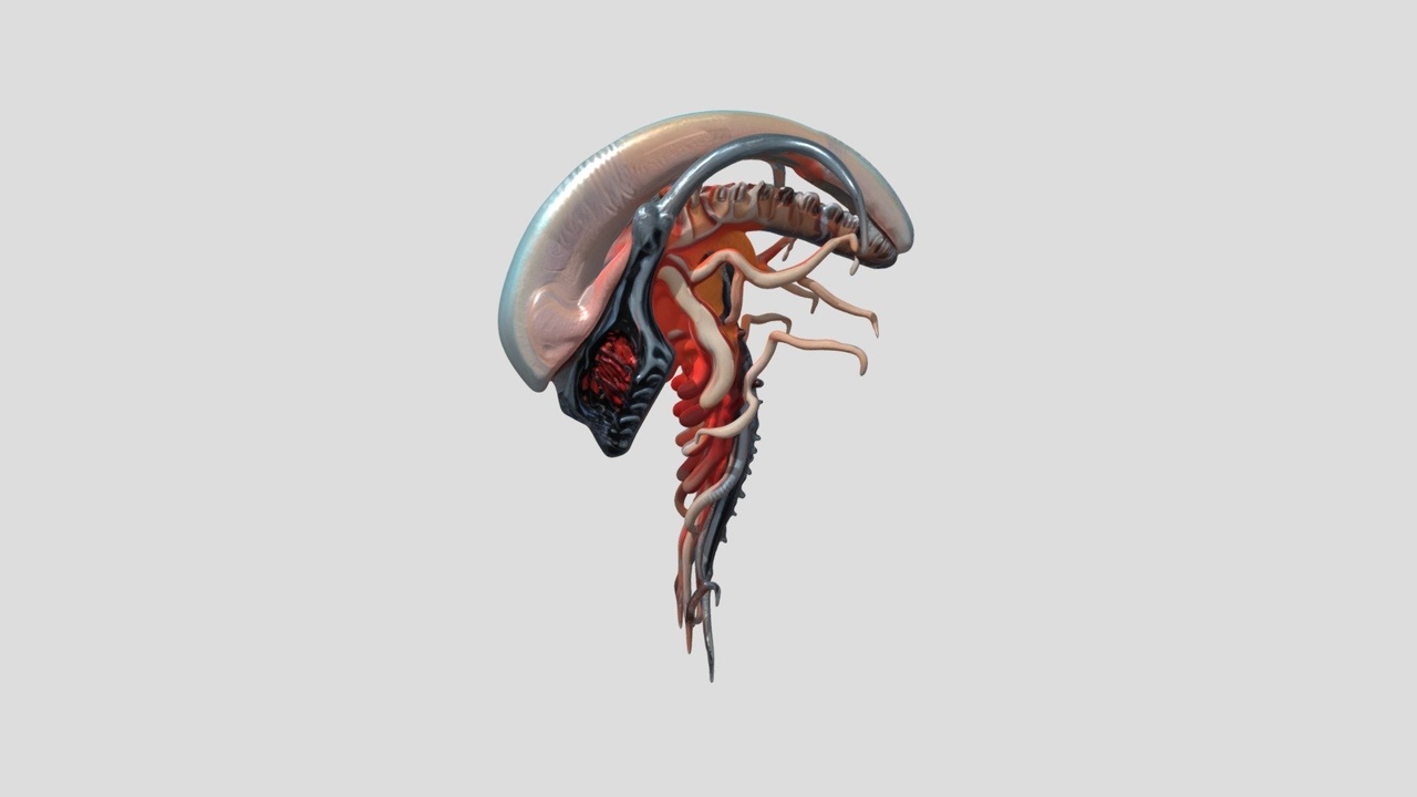Media 1 for listing Xeno Creature 9