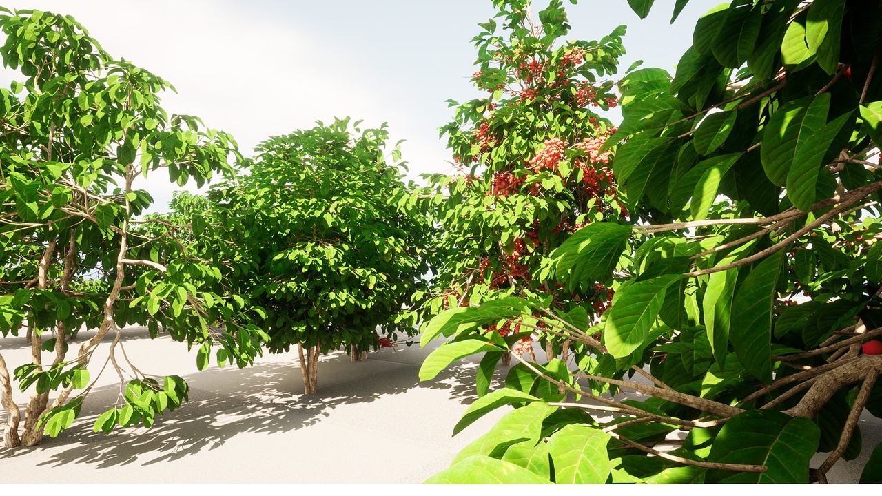 Media 1 for listing plant Fruits and vegetables