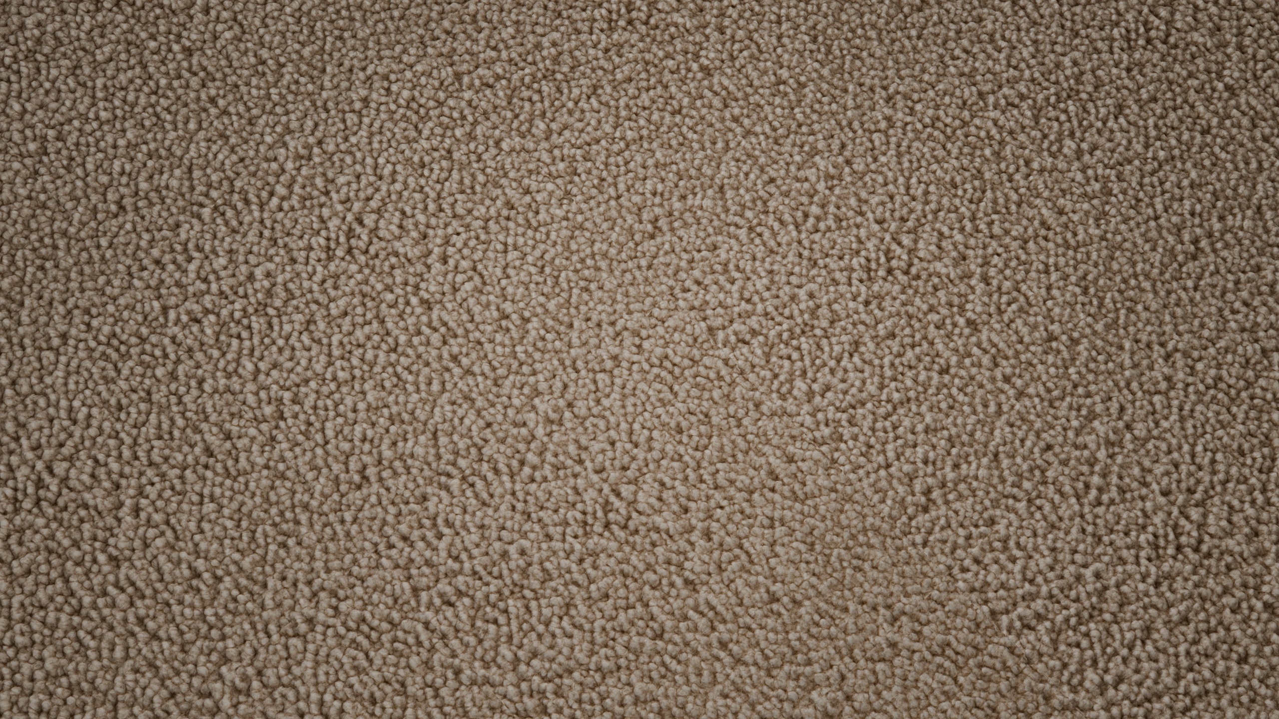 Media 1 for listing Beige Carpet PBR Texture