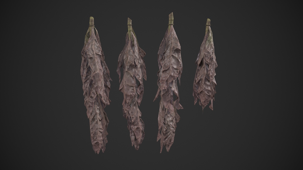 dried tobacco leaves Dried Tobacco Leaves