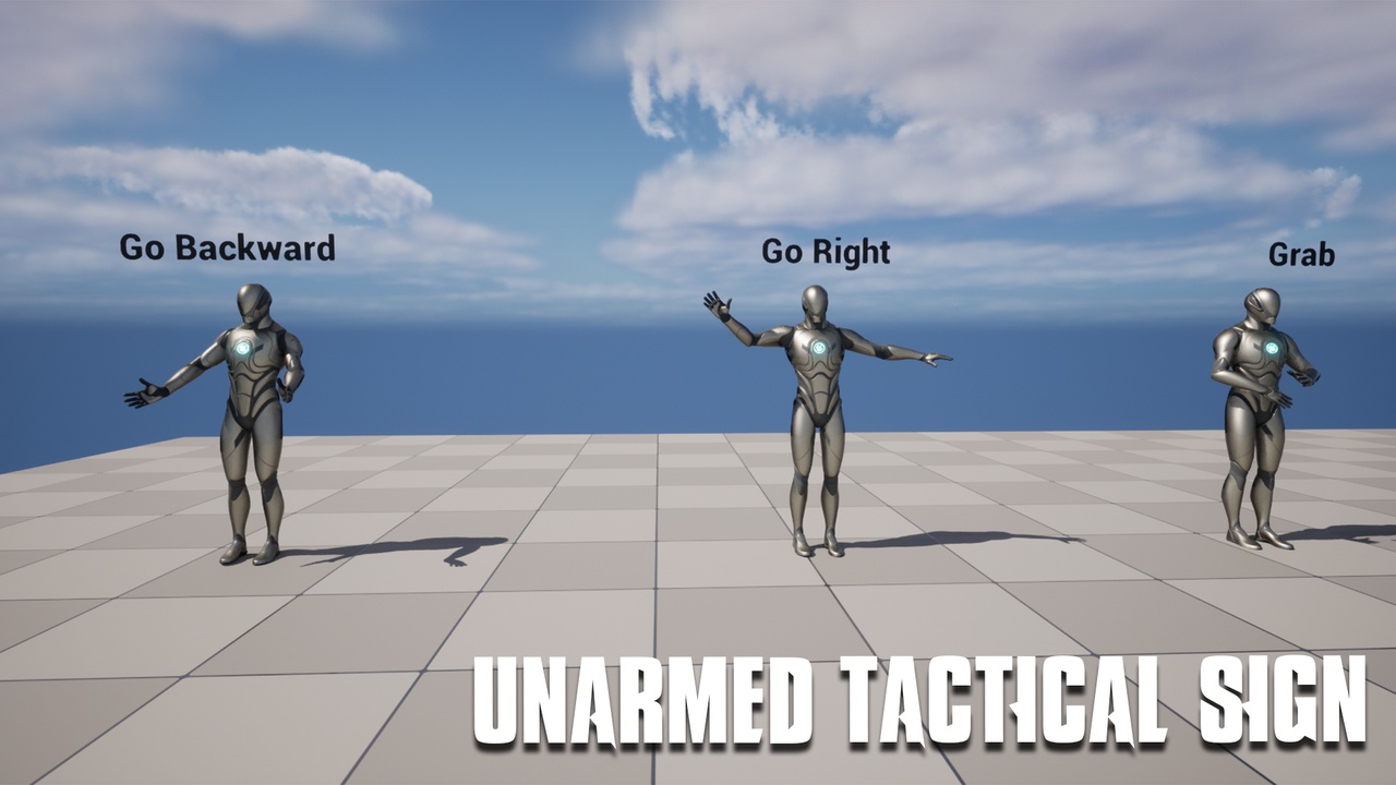Media 1 for listing Unarmed Tactical Sign Anim Set