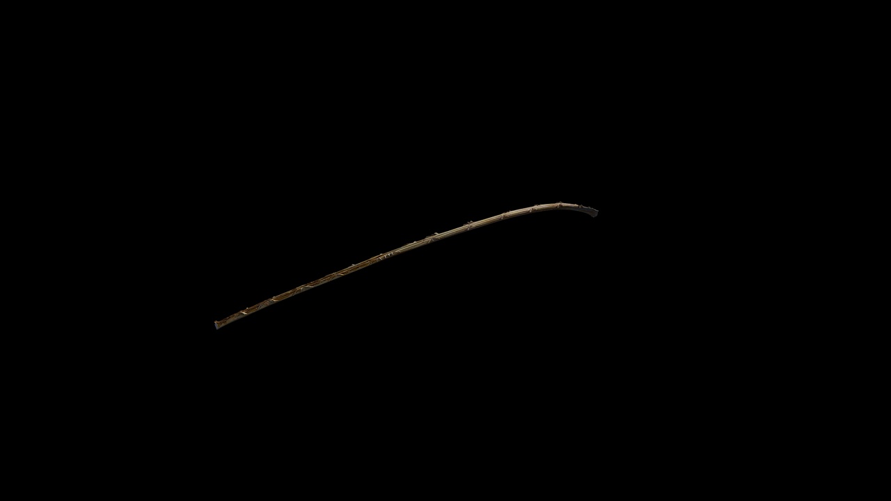 Media 1 for listing Anydrafts Trachycarpus fortunei Petiole 11