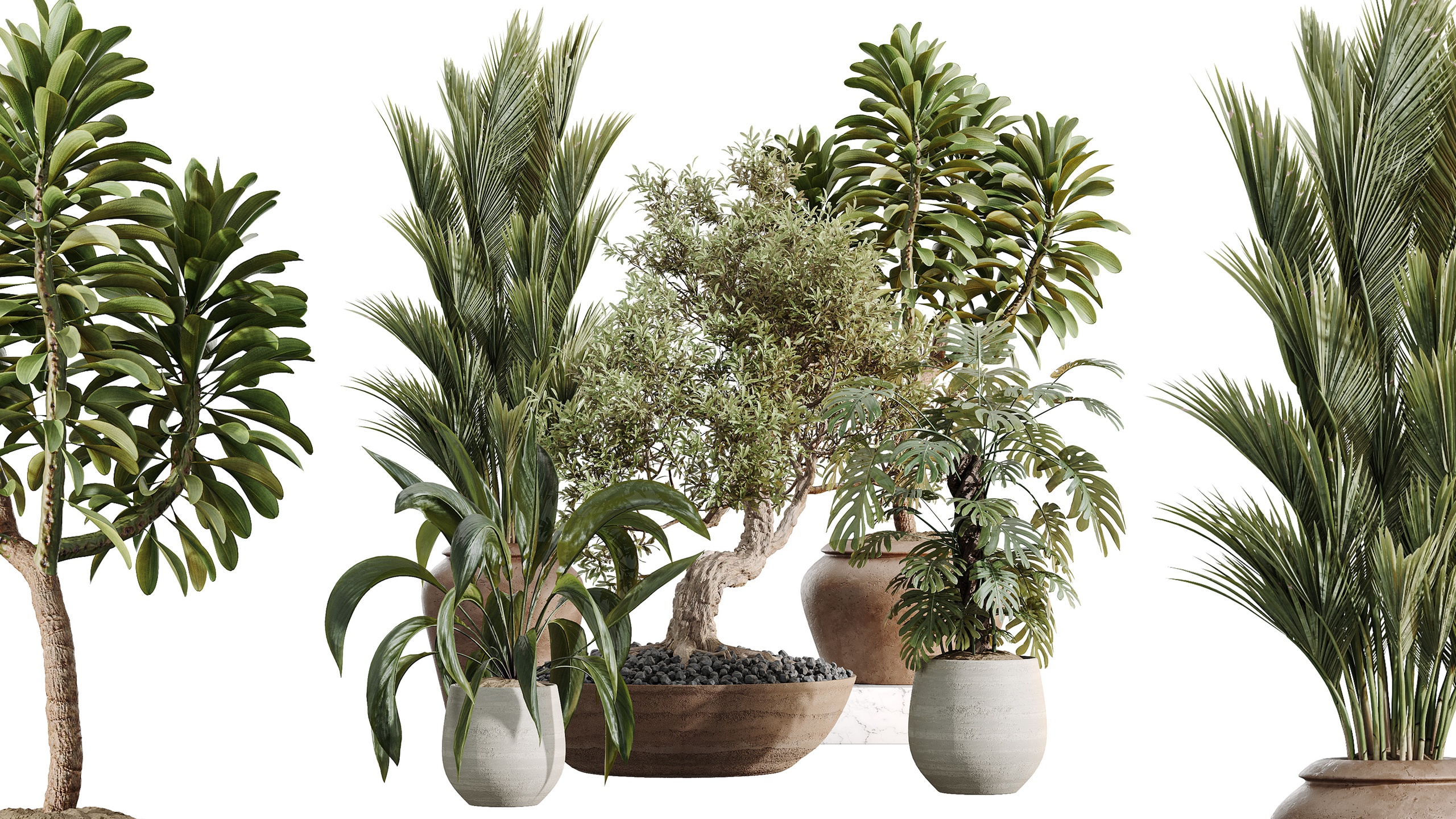 Media 1 for listing AV Indoor Plants Set 477 Peace Lily Olive Euphorbia Palm